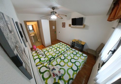 IMG_20230512_205333_00_874.insp