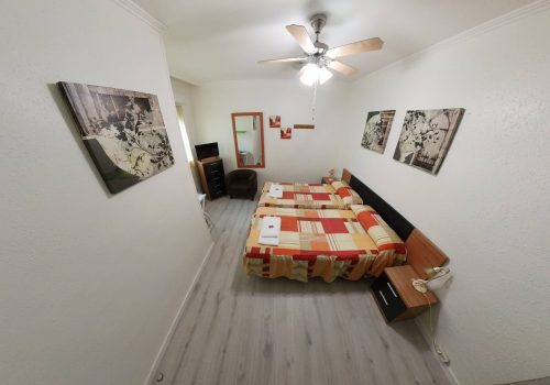 IMG_20230418_170047_00_907.insp